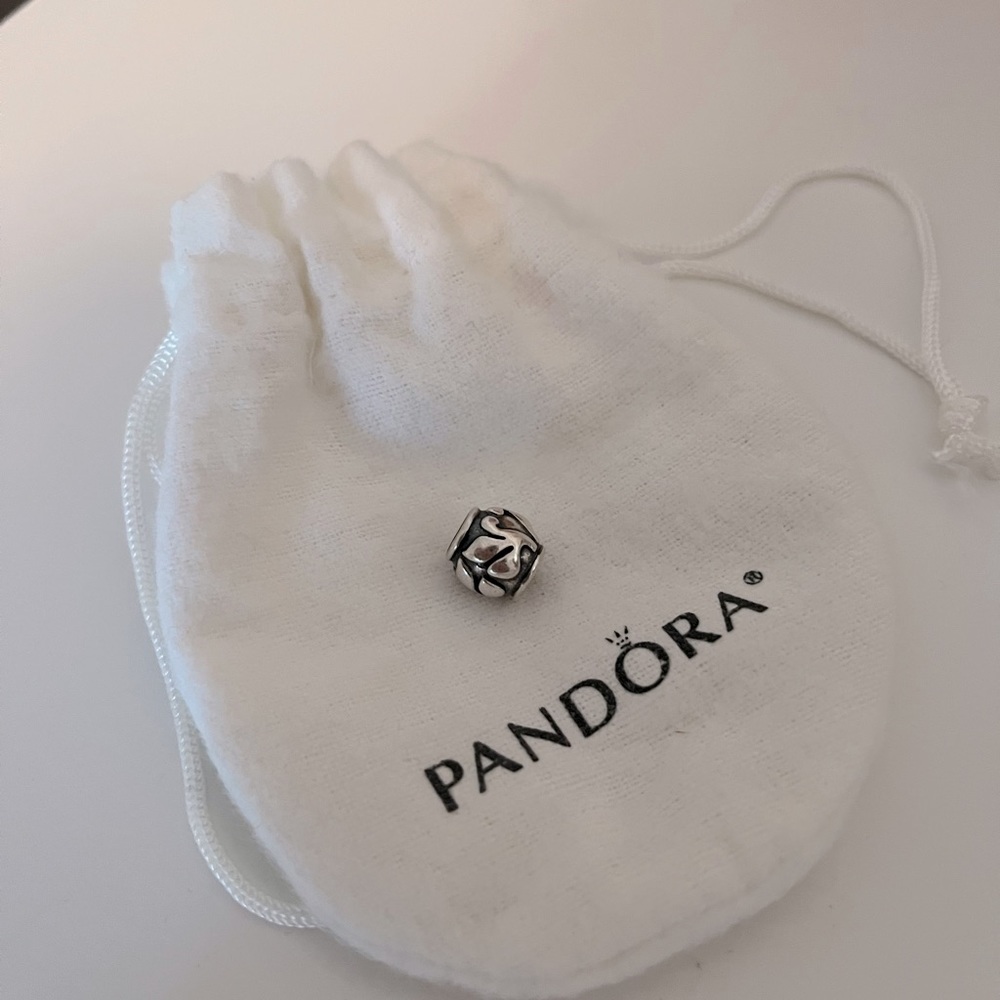 Pandora Charm